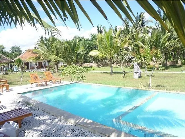 Wani Bali 3*