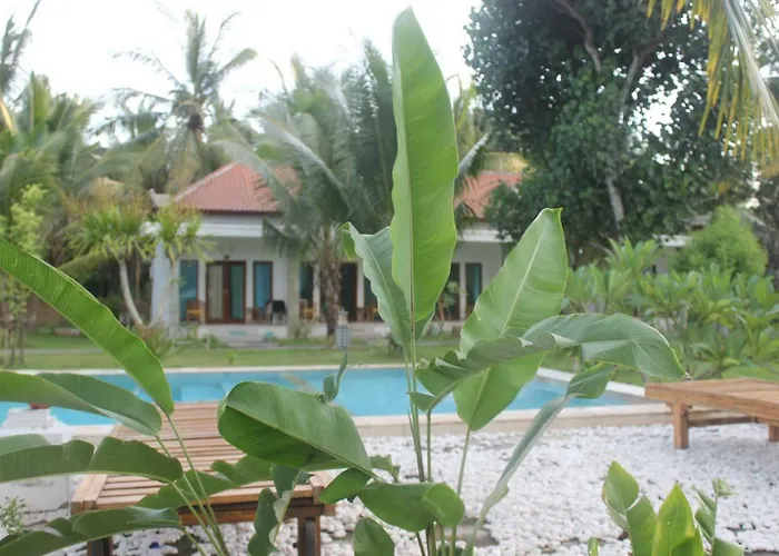 Wani Bali Toyapakeh